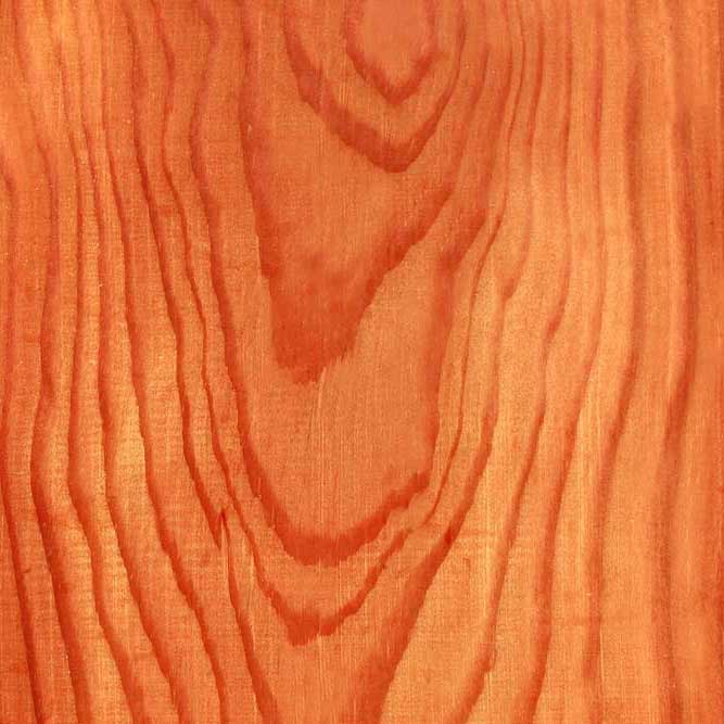 douglasfir-wood-icon